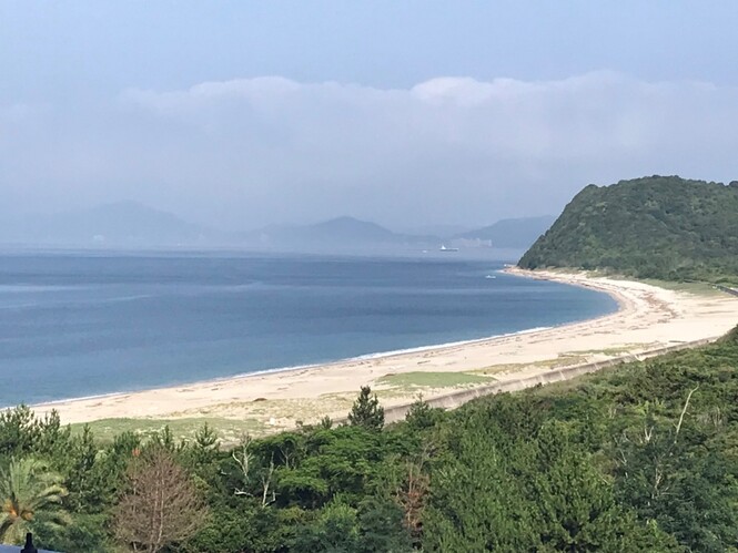 海