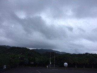 朝
