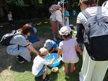 水遊びをしている子どもたちの写真