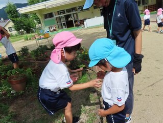 セミの抜け殻で遊んでいる子どもたちの写真