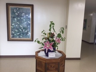 今週の花