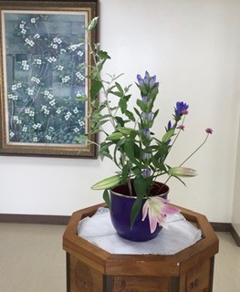 今週の花