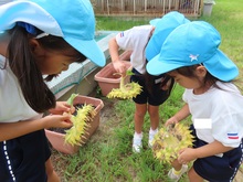 あ