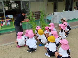 ふうせんかずらを見ている子どもたちの写真