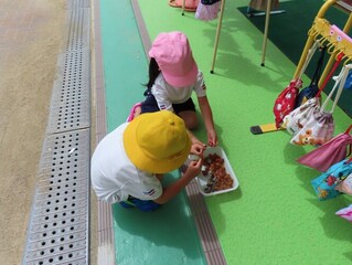 種取りをしている子どもたちの写真