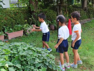 チョウチョウを捕まえようとしている子どもたちの写真