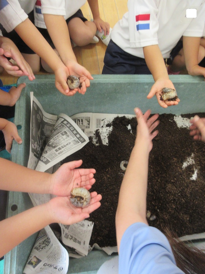 みんなでカブトムシの幼虫を抱っこしている