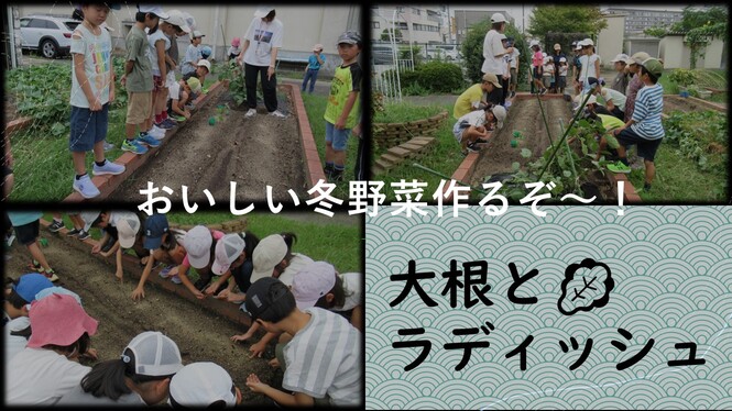 畑