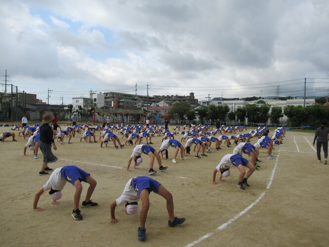 全校生