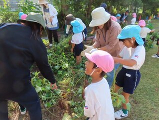 お芋ほりをしている子どもたちの写真