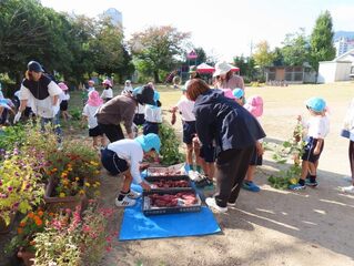 お芋ほりをしている子どもたちの写真