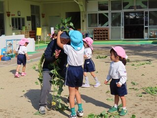 芋のツルで遊んでいる子どもたちの写真