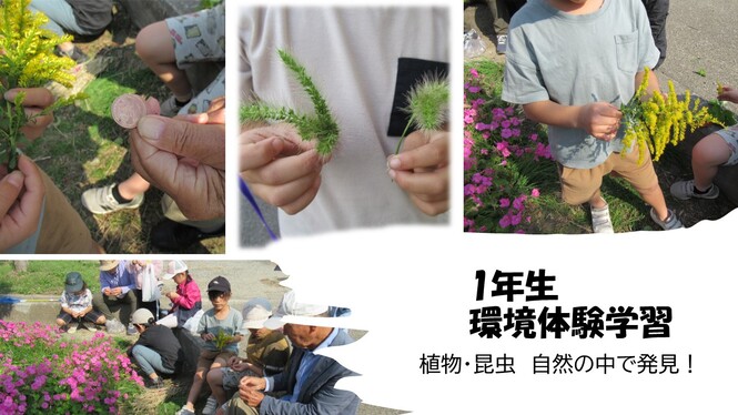 1年生環境体験学習