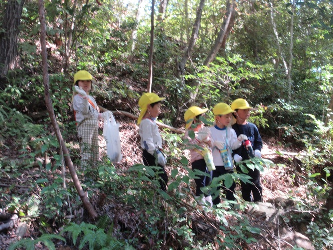 たんぽぽ組の山登り