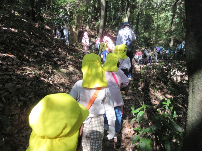 たんぽぽ組の山登り