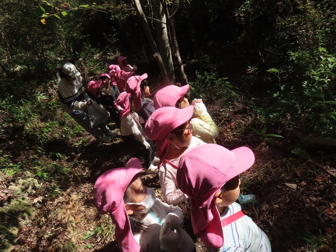 こすもす組の山登り