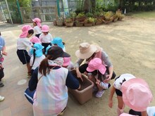 種をまいている子どもたちの写真