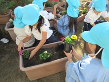 花の苗を植えている子どもたちの写真