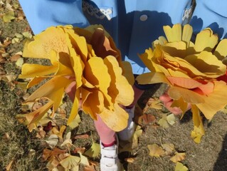 イチョウの花束の写真