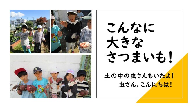 さつまいも
