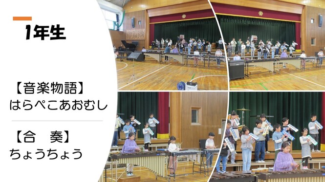 音楽会