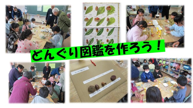 2年生