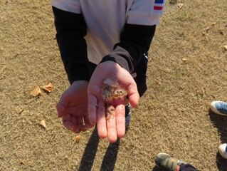 子どもたちが見つけた氷のかけらの写真