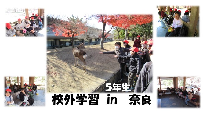 5年