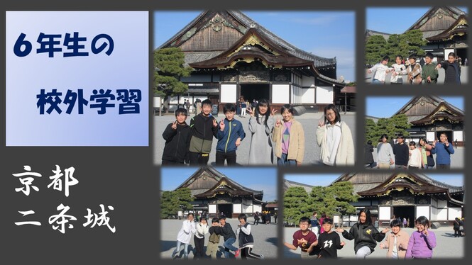 6年