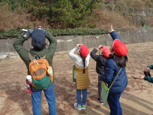 野鳥観察