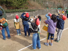 野鳥観察