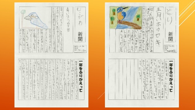 バード