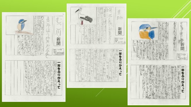 バード