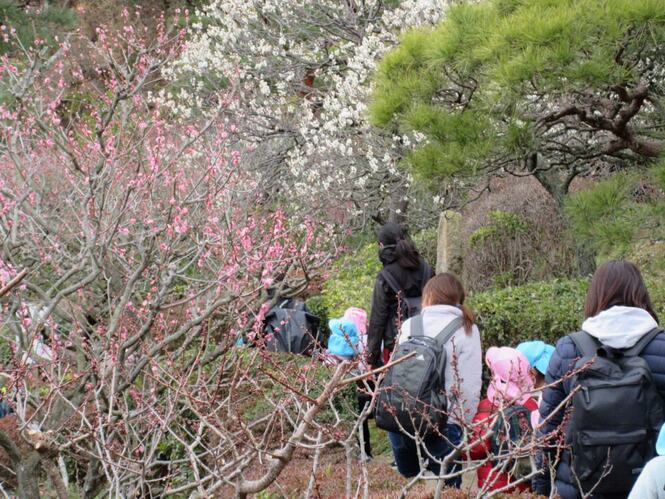 遠足に出かけている子どもたちの写真