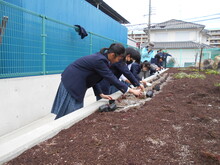 花を植える写真