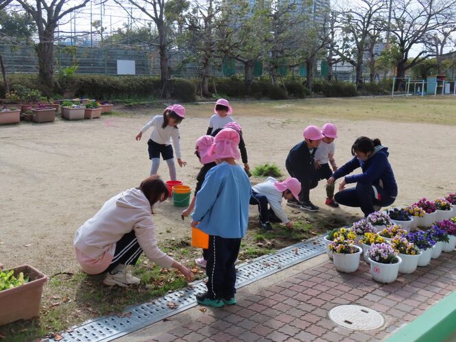 草抜きをしている子どもたちの写真