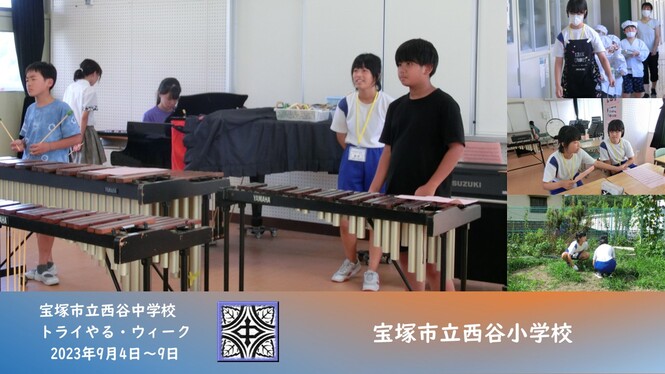 小学校での活動の様子