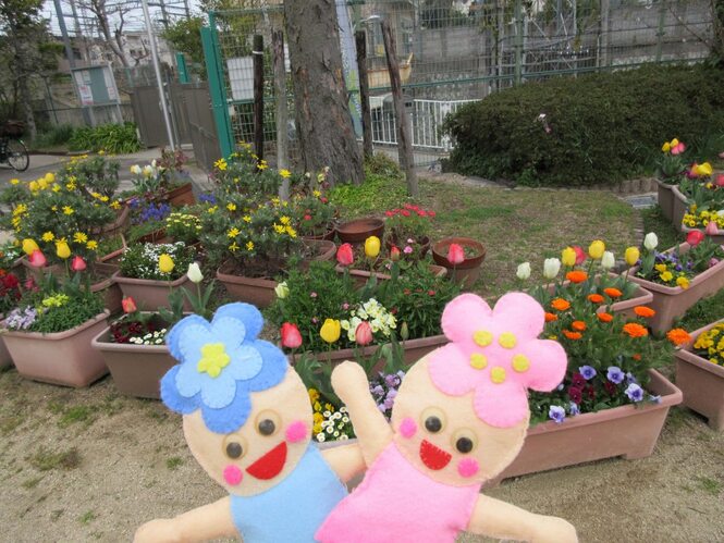 花たちの写真