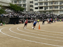 体育大会5