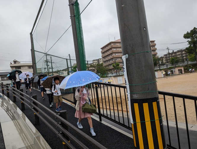 雨