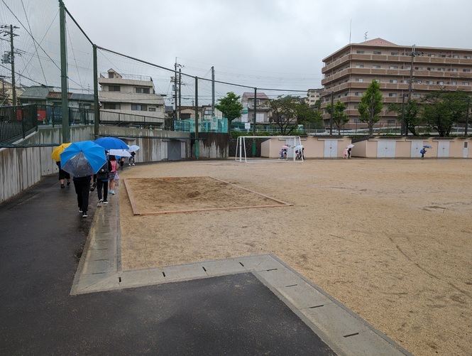 雨