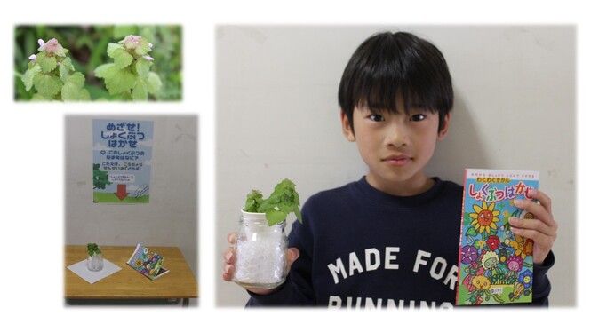 植物博士第1号