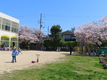 園庭で遊ぶ