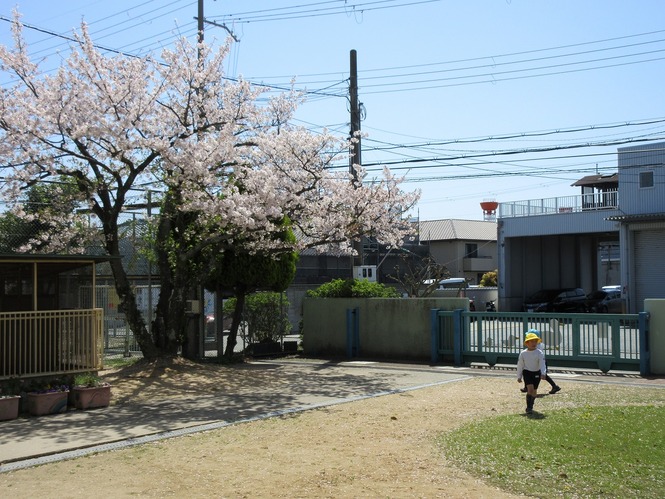 良いお天気でした。