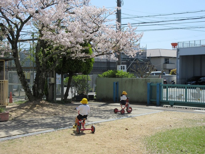 遊んでいます。
