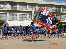 5年