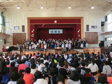 6年