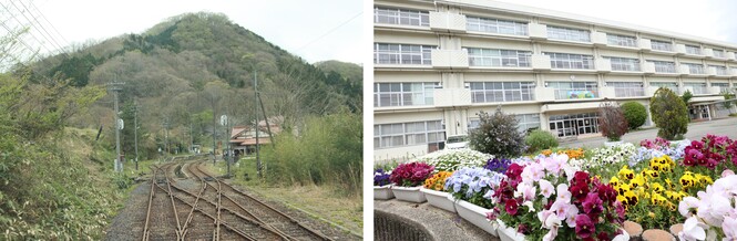 学校の花壇