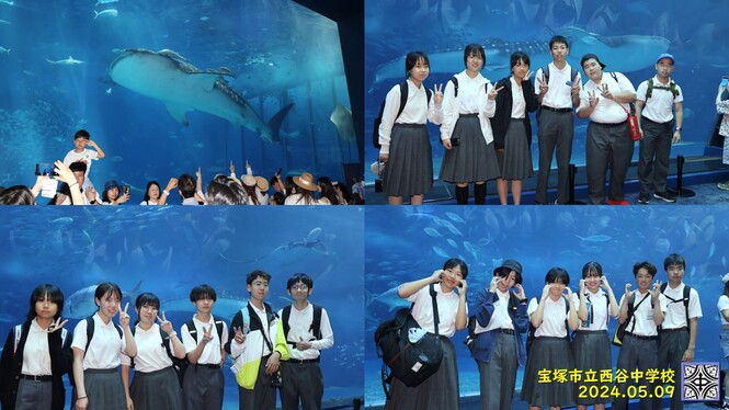 美ら海水族館