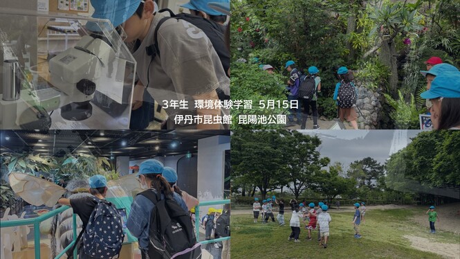 伊丹市昆虫館での見学の様子